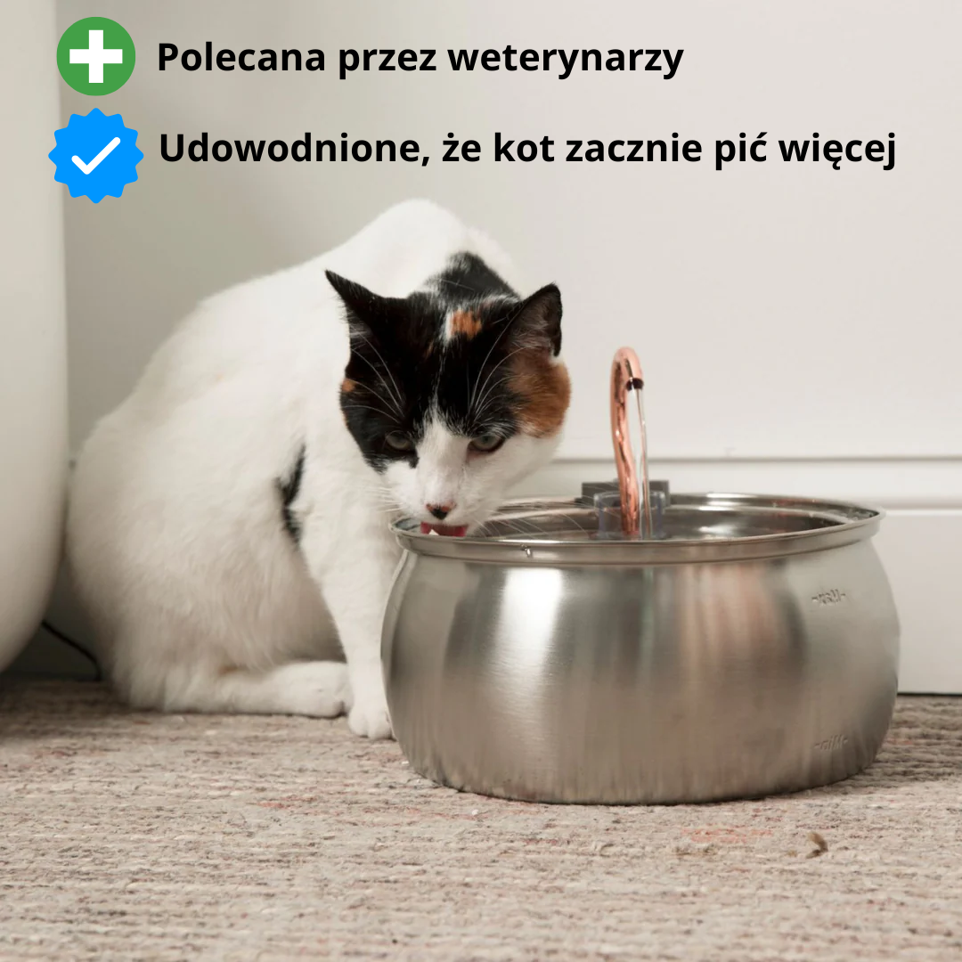 CrystalFlow dla dużych kotów 4L