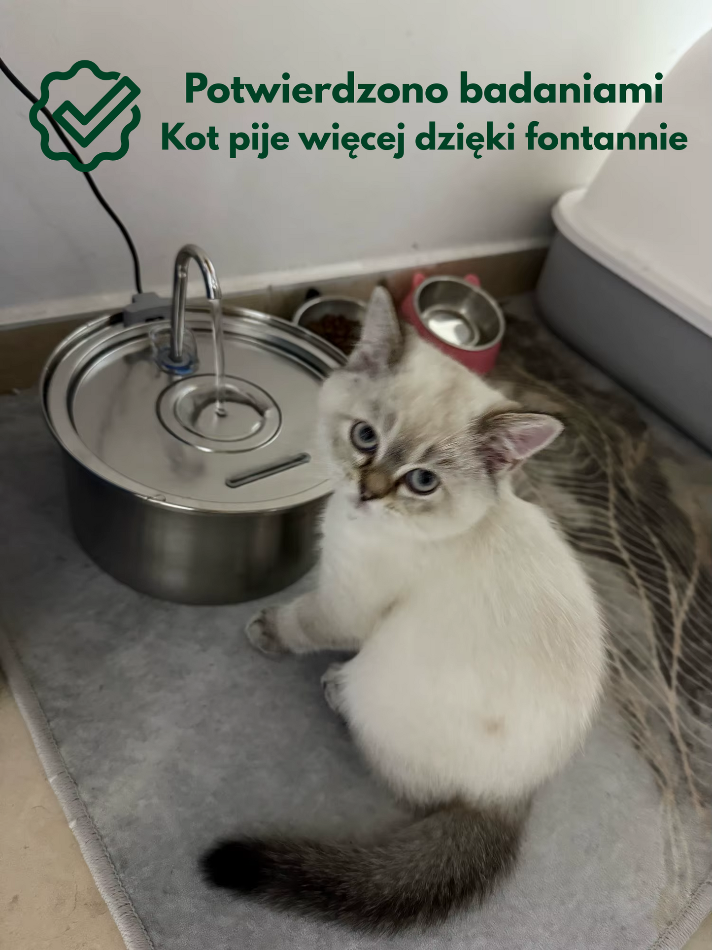 TotalClean Czysta woda zdrowy kot fontanna Velvio™ 3.2 L